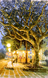 大きな木と小さなカフェ